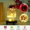 Foil Rose LED String Light Rose Fairy Lamp w/ Glass Dome For Valentines’ Day Mother’s Day Wedding Birthday